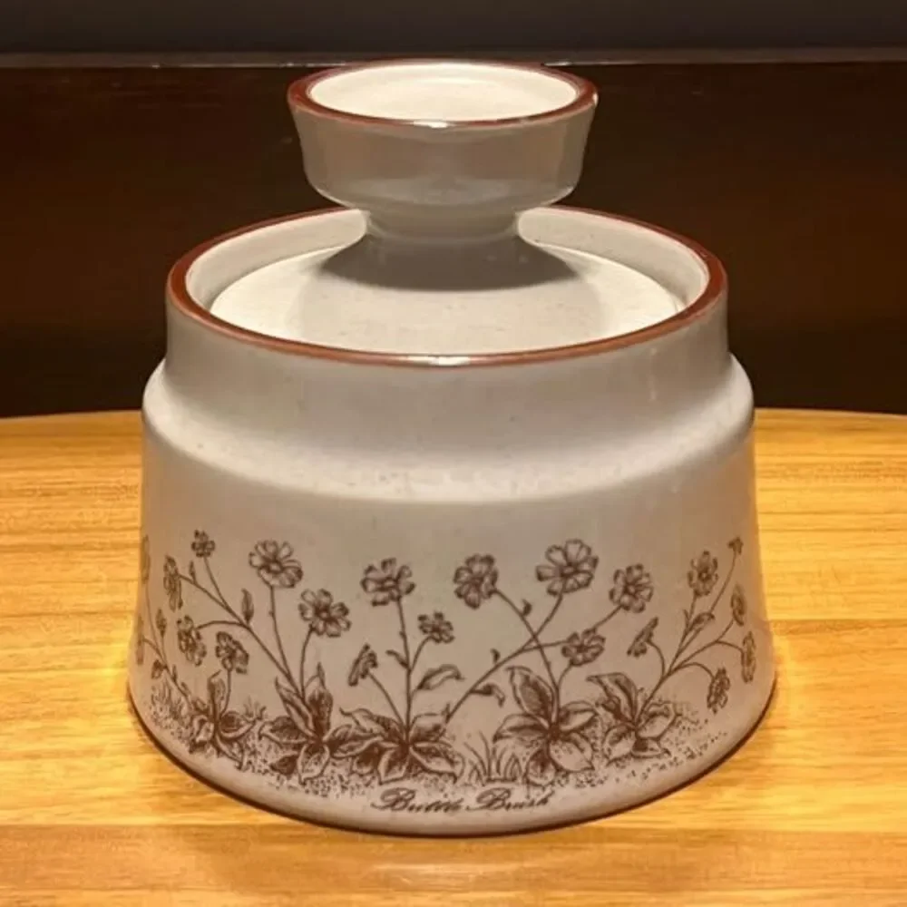 Vintage Noritake Stoneware Desert Flowers Set 14